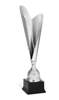 Coppa innovativa moderna