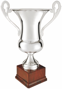 coppa imitazione coppa italia