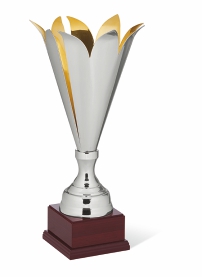 coppa di prestigio 99262