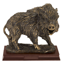 Trofeo caccia cinghiale