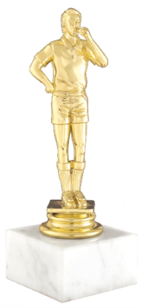 Premio Trofeo calcio 12,50 cm Capocannoniere Miglior giocatore Targhetta omaggio 