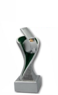 trofeo premiazione calcio