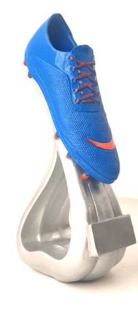 trofeo premiazioni calciogrey4