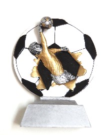 trofeo sportivo calcio portiere