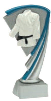 Trofeo arti marziali