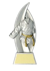 Trofeo divisa arti marziali