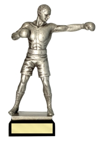 Trofeo pugile
