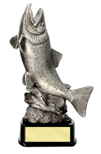 Trofeo pesca trota