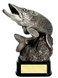 Trofeo pesca pesce