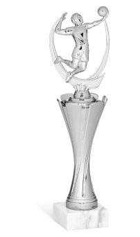 Trofeo volley